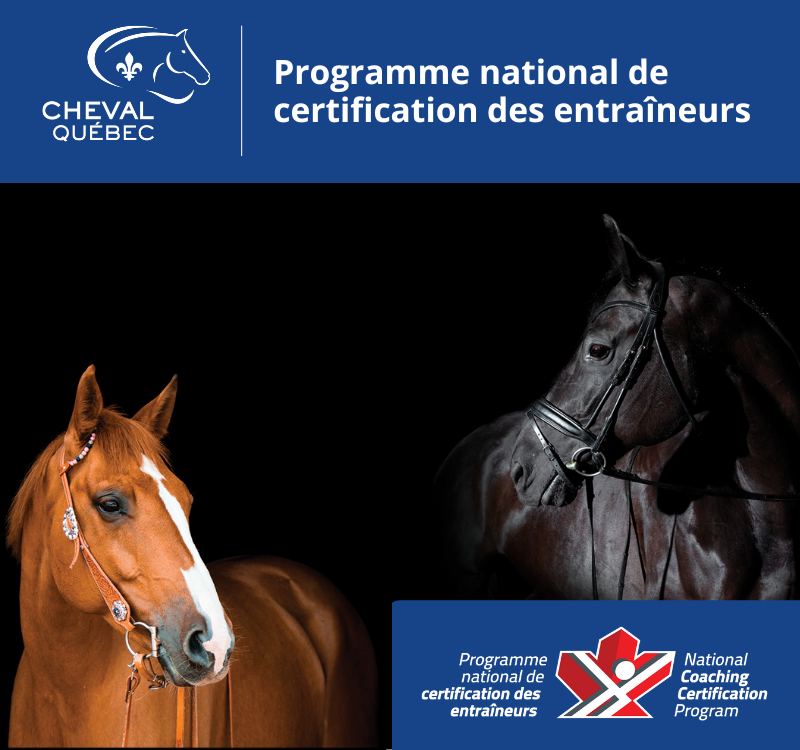 Entraîneur Compétition-Développement PNCE/CE disciplines non olympiques